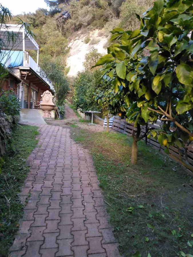 Villa Oasis Mentone Chalet